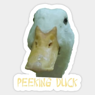 Quirky Peeking Duck Face Over Punny Asian Text Sticker